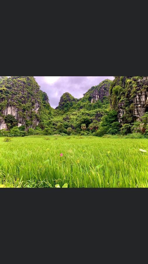 Tam Coc Scenery Homestay Van Lam Экстерьер фото